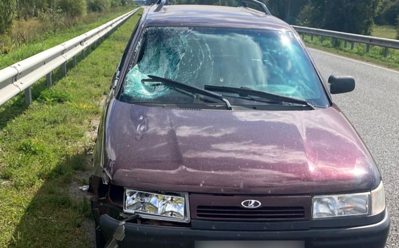 На Золотоніщині в аварії загинув велосипедист