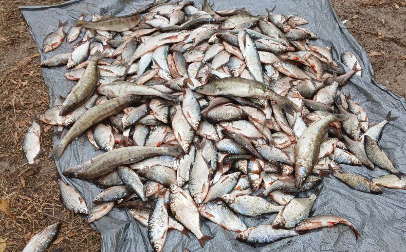 Збитків на понад мільйон: на Черкащині затримали браконьєра