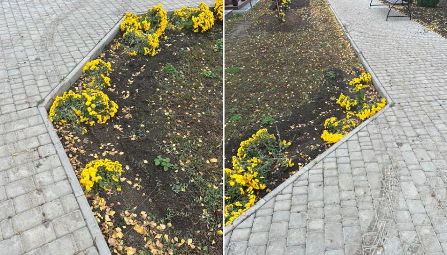 Біля могил Героїв у Тальному невідомі пошкодили квіти