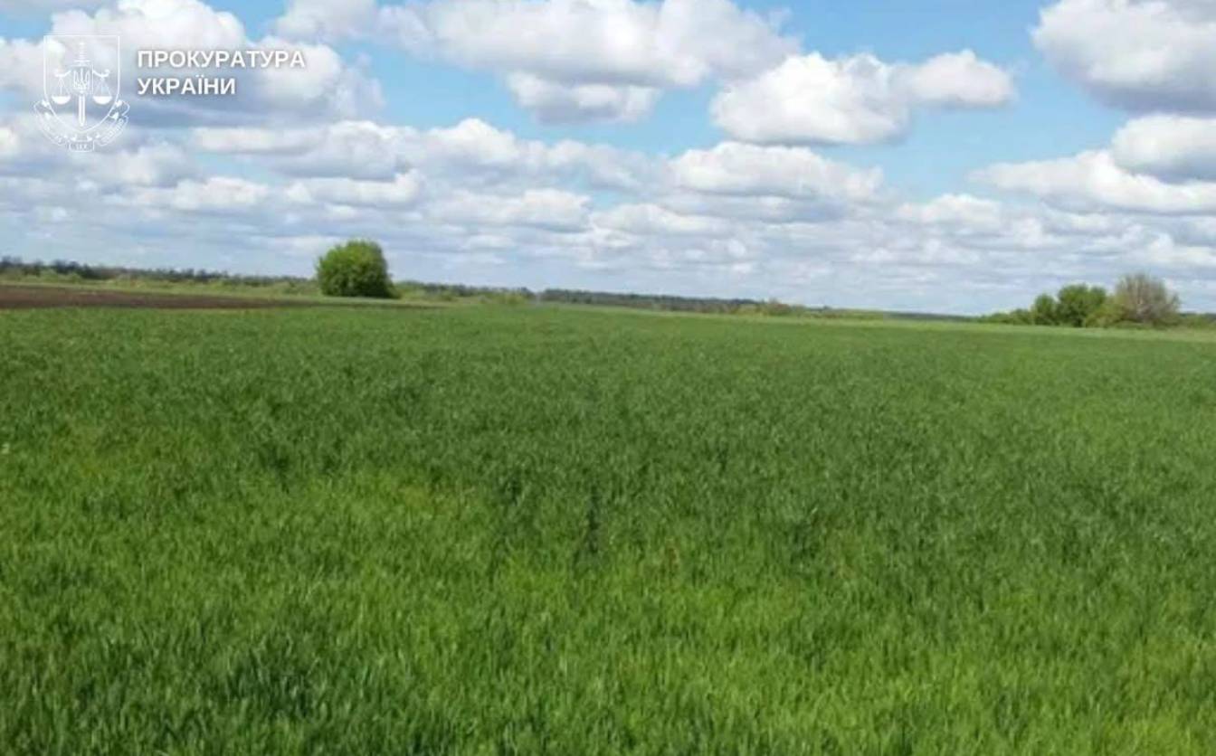 На Черкащині через суд повертають пам’ятки археології – поселення кімерійців