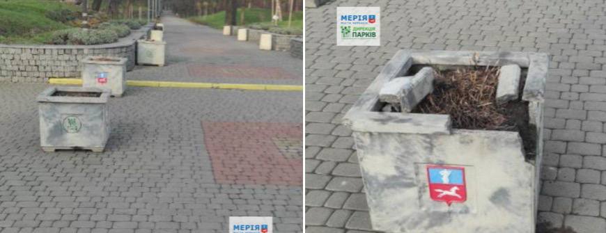 Сосновий бір у Черкасах постраждав від вандалів