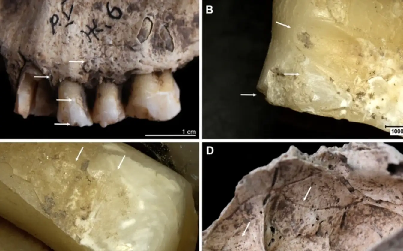 На Черкащині знайшли рештки трипільців, які згоріли в будинку