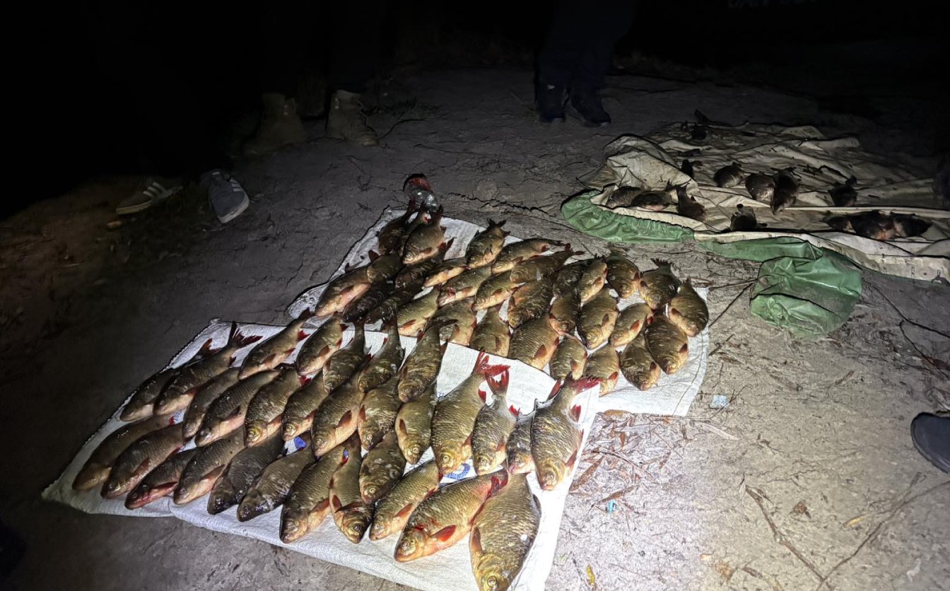 На Золотоніщині браконьєр наловив риби сітками на 120 тисяч гривень