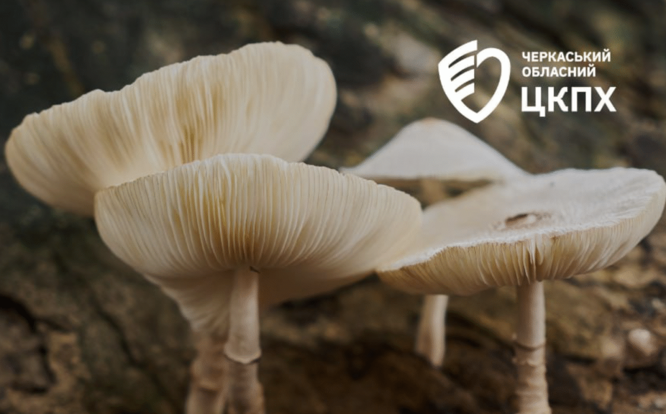 53-річний черкащанин отруївся дикорослими грибами