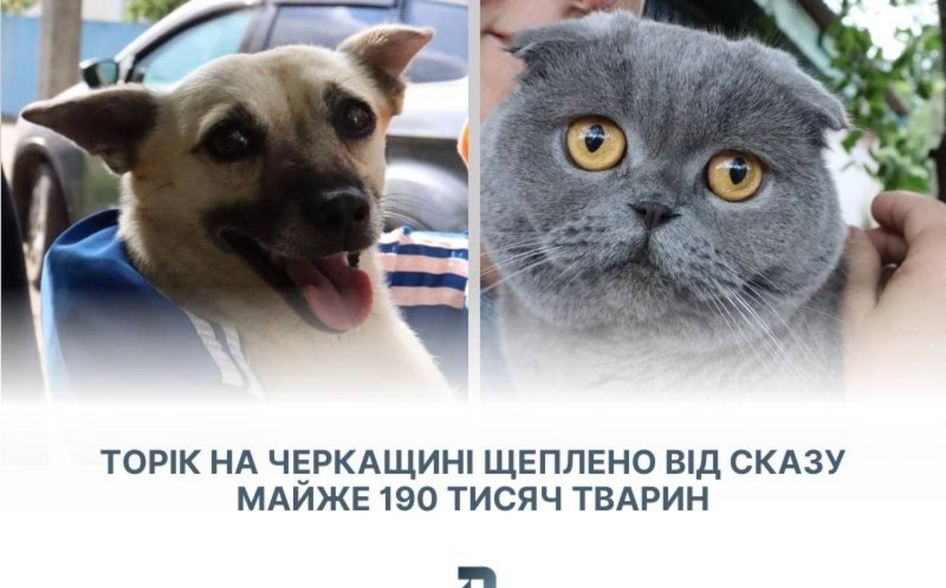 Торік від сказу на Черкащині вакцинували майже 190 тис. тварин