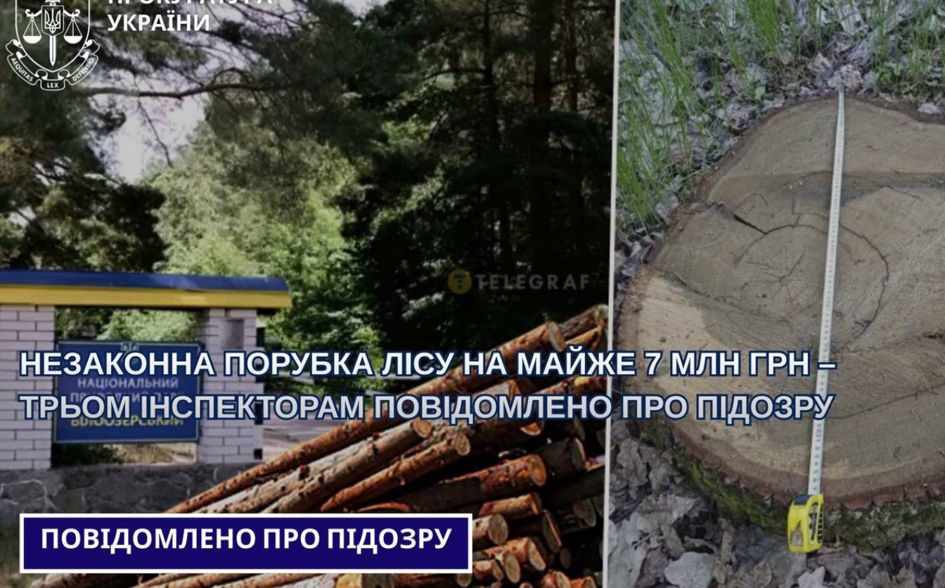 Порубка лісу на майже сім млн грн: підозрюють трьох інспекторів на Черкащині