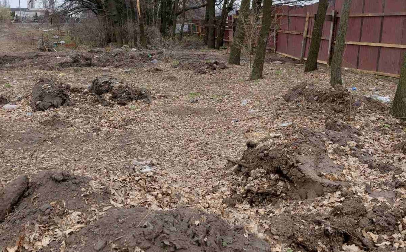 На межі Черкас і Руськополянської громади незаконно зрубали дуби