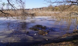 Дамбу на річці Тясмин, що на Черкащині, хочуть повернути у власність громади