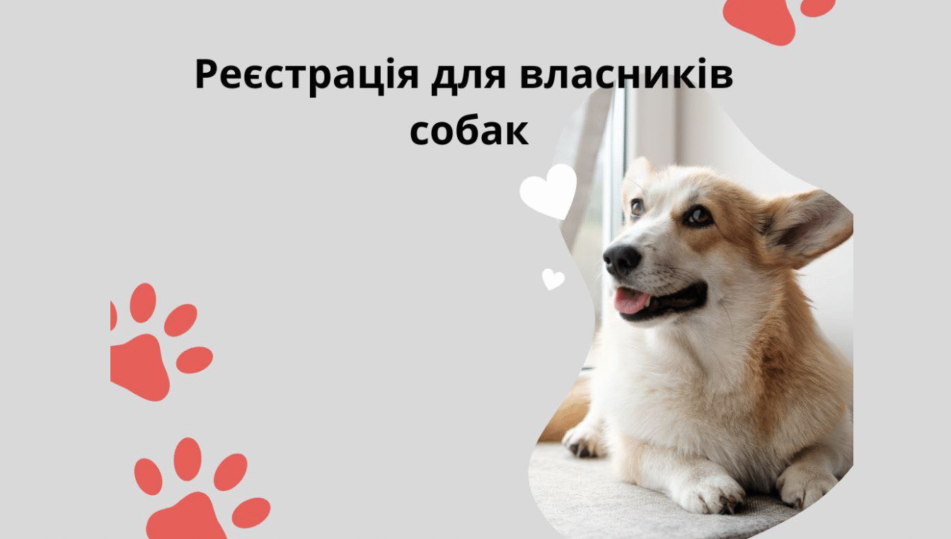 У Смілі ВПО можуть безплатно отримати корм для собак