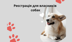 У Смілі ВПО можуть безплатно отримати корм для собак