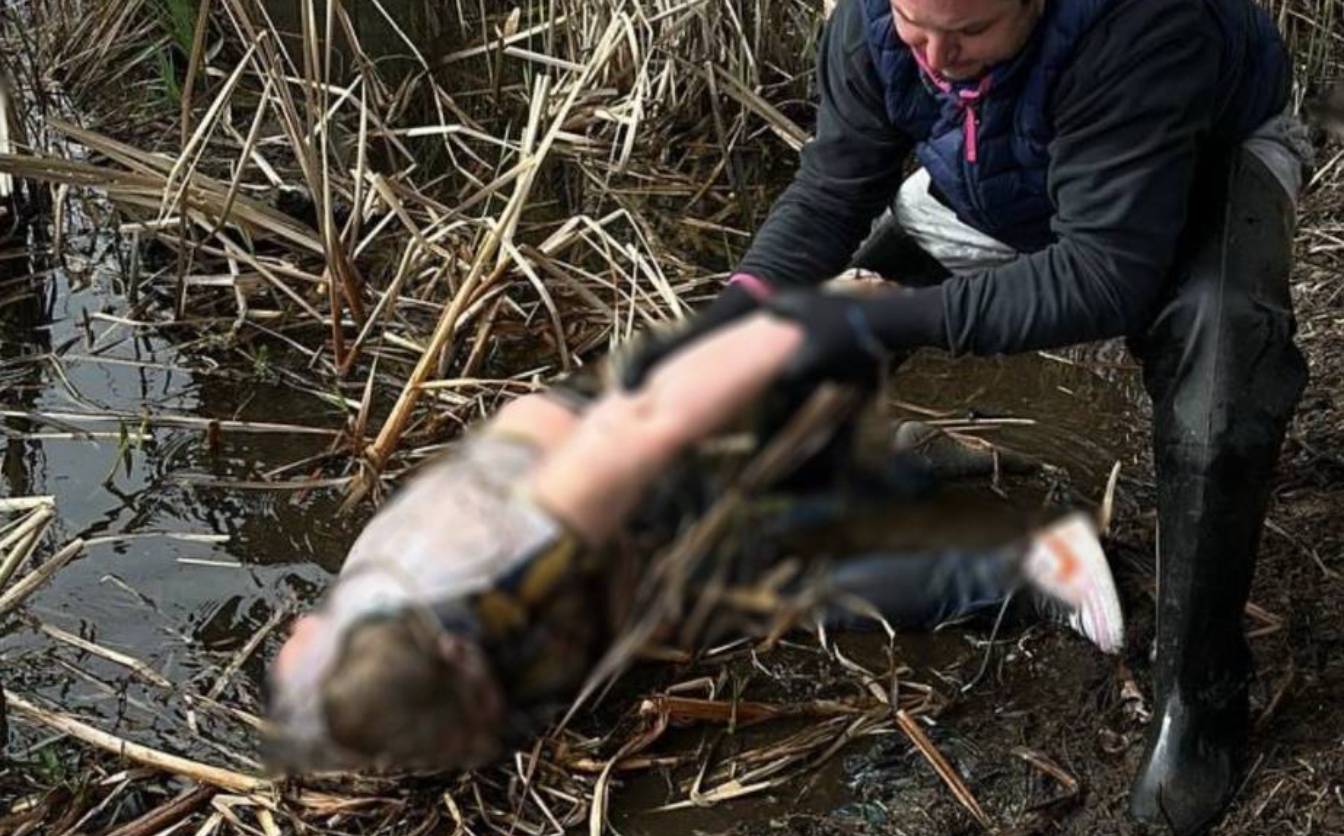 З водойми в Смілі витягли тіло жінки