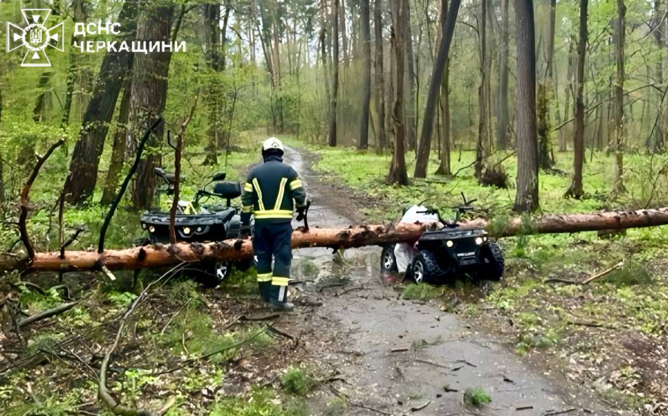 У Черкасах через падіння дерева загинула жінка