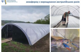 Ветеран на Черкащині розвиває акваферму з вирощування австралійських раків