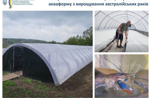 Ветеран на Черкащині розвиває акваферму з вирощування австралійських раків