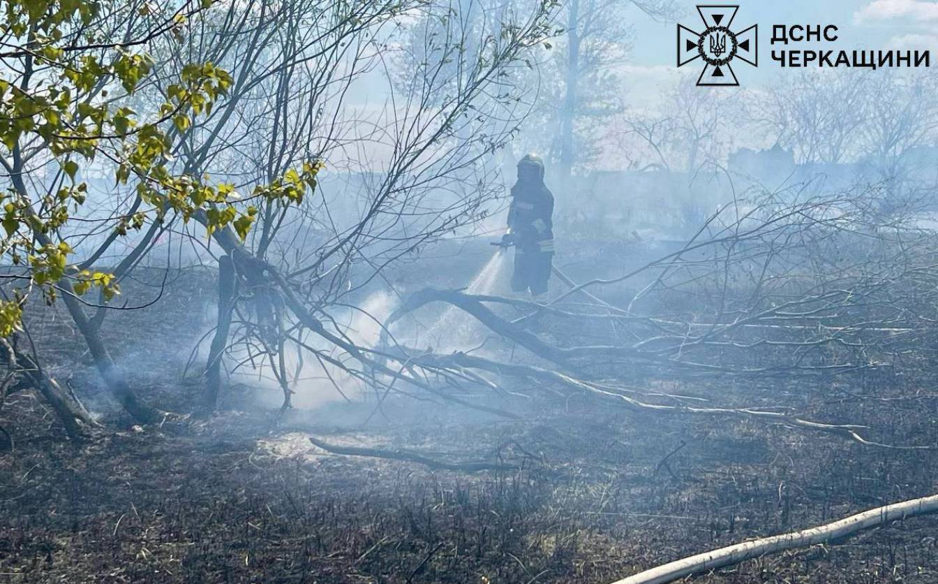 На острові Дніпра в Черкасах ліквідували пожежу (ФОТО)