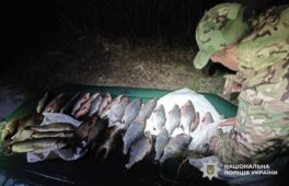 За місяць нерестової заборони черкащани наловили риби на понад два мільйони гривень