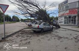 Падали дерева: інформація щодо наслідків негоди на Черкащині