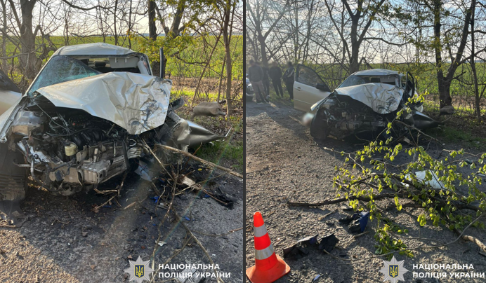 Врізався в дерево: унаслідок ДТП в Уманському районі загинув чоловік
