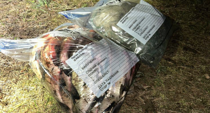 Переносив мішком: браконьєр у Худяках наловив риби на майже 40 тисяч гривень