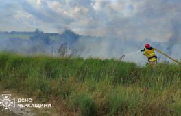 Сім пожеж рослинності сталися на Черкащині за добу