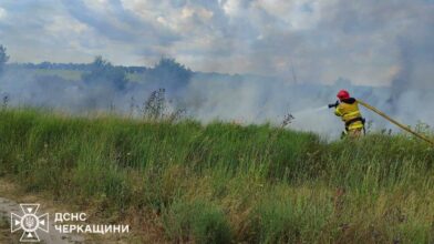 Сім пожеж рослинності сталися на Черкащині за добу