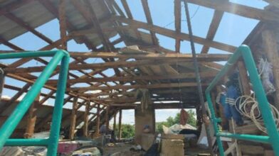 Негодою на Черкащині зірвало покрівлі з будинків (ФОТО)