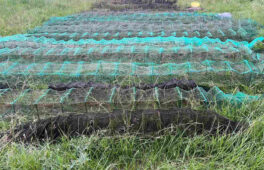 На Золотоніщині виявили понад 100 незаконних раколовок