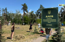 На місці скандальної вирубки сосон черкасці продовжують наводити лад (ФОТО, ВІДЕО)