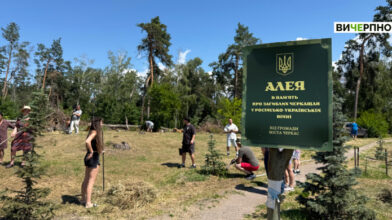 На місці скандальної вирубки сосон черкасці продовжують наводити лад (ФОТО, ВІДЕО)
