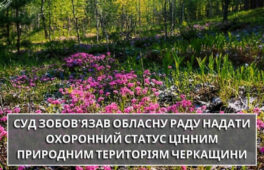 Черкаську облраду через суд зобов’язали створити ландшафтний заказник «Боровичок»