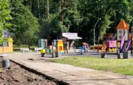 У Сосновому Бору оновлюють доріжки