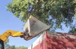 Вагові порушення на понад 200 тисяч гривень виявили на Черкащині