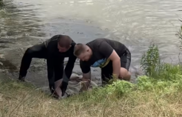 У ставку на Черкащині виявили тіло 35-річного чоловіка (ВІДЕО)